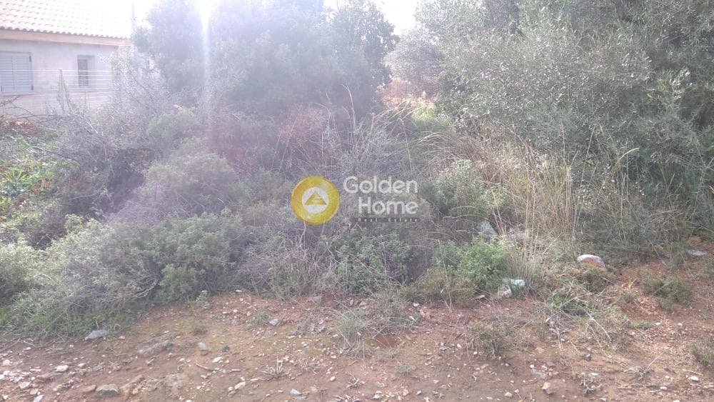 Building Plot in Centre, Glika Nera — Photo 2 of 10