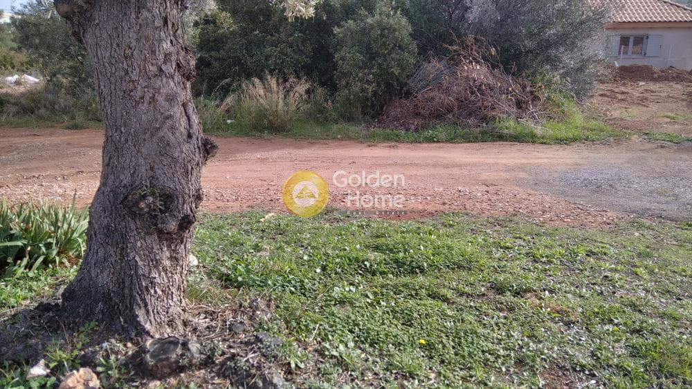 Building Plot in Centre, Glika Nera — Photo 3 of 10