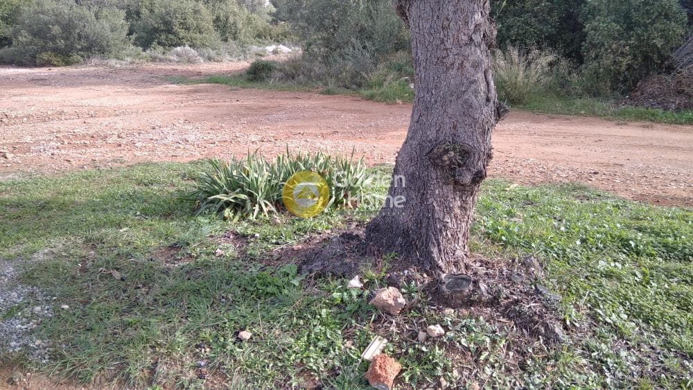 Building Plot in Centre, Glika Nera — Photo 4 of 10