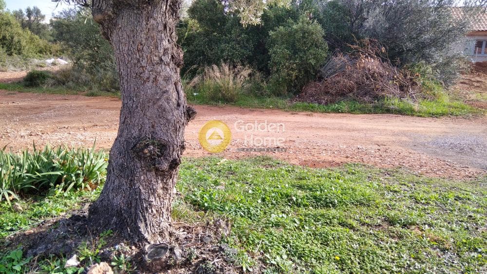 Building Plot in Centre, Glika Nera — Photo 6 of 10
