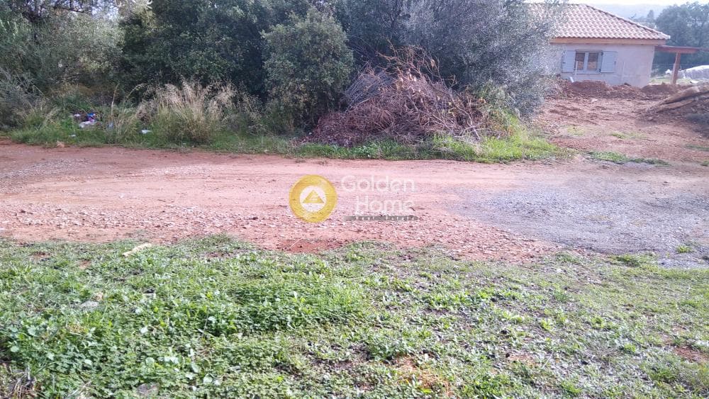 Building Plot in Centre, Glika Nera — Photo 5 of 10