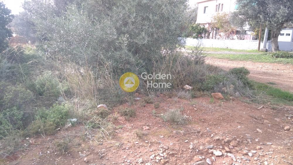 Building Plot in Centre, Glika Nera — Photo 9 of 10