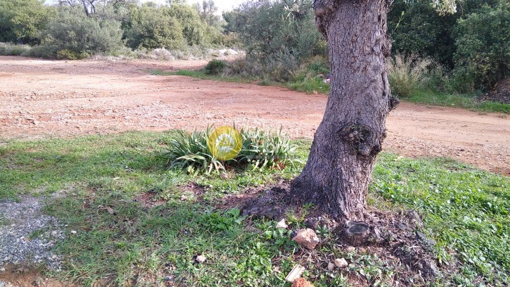 Building Plot in Centre, Glika Nera — Photo 10 of 10