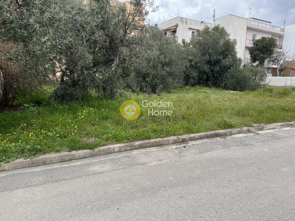 Building Plot in Megala Sxoinia A, Acharnes — Photo 1 of 2