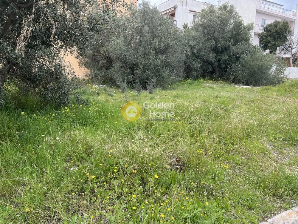Building Plot in Megala Sxoinia A, Acharnes — Photo 2 of 2