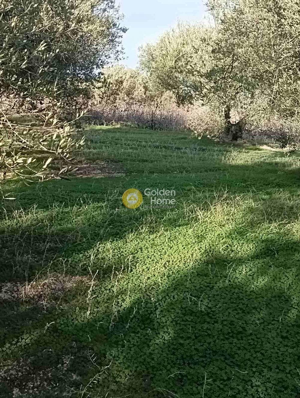 Οικόπεδο στην Κουνάβοι, Αρχάνες — Φωτογραφία 2 από 19
