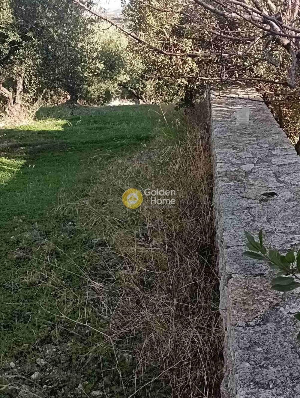 Οικόπεδο στην Κουνάβοι, Αρχάνες — Φωτογραφία 7 από 19