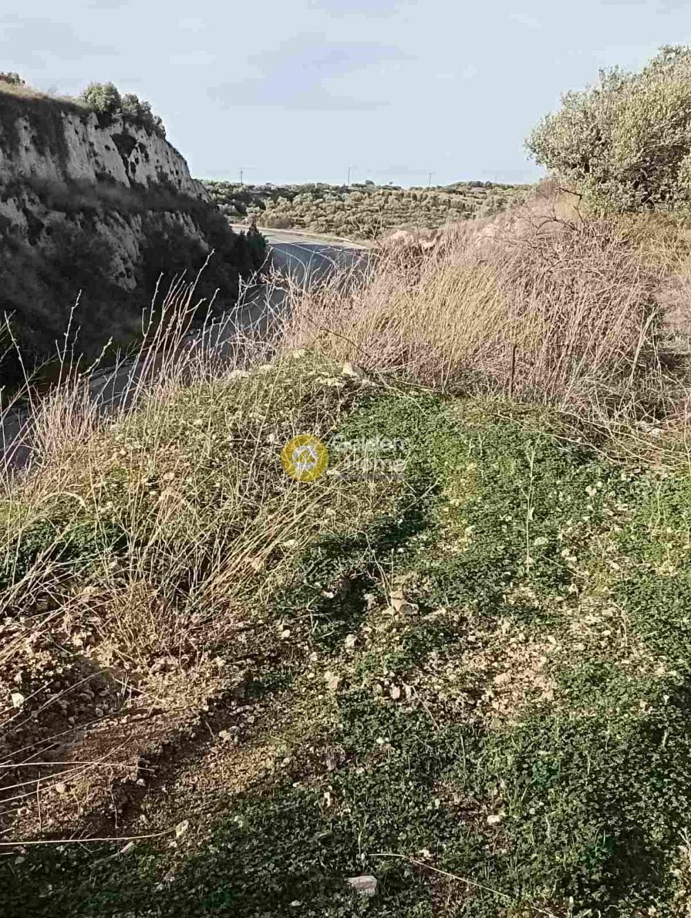Οικόπεδο στην Κουνάβοι, Αρχάνες — Φωτογραφία 15 από 19