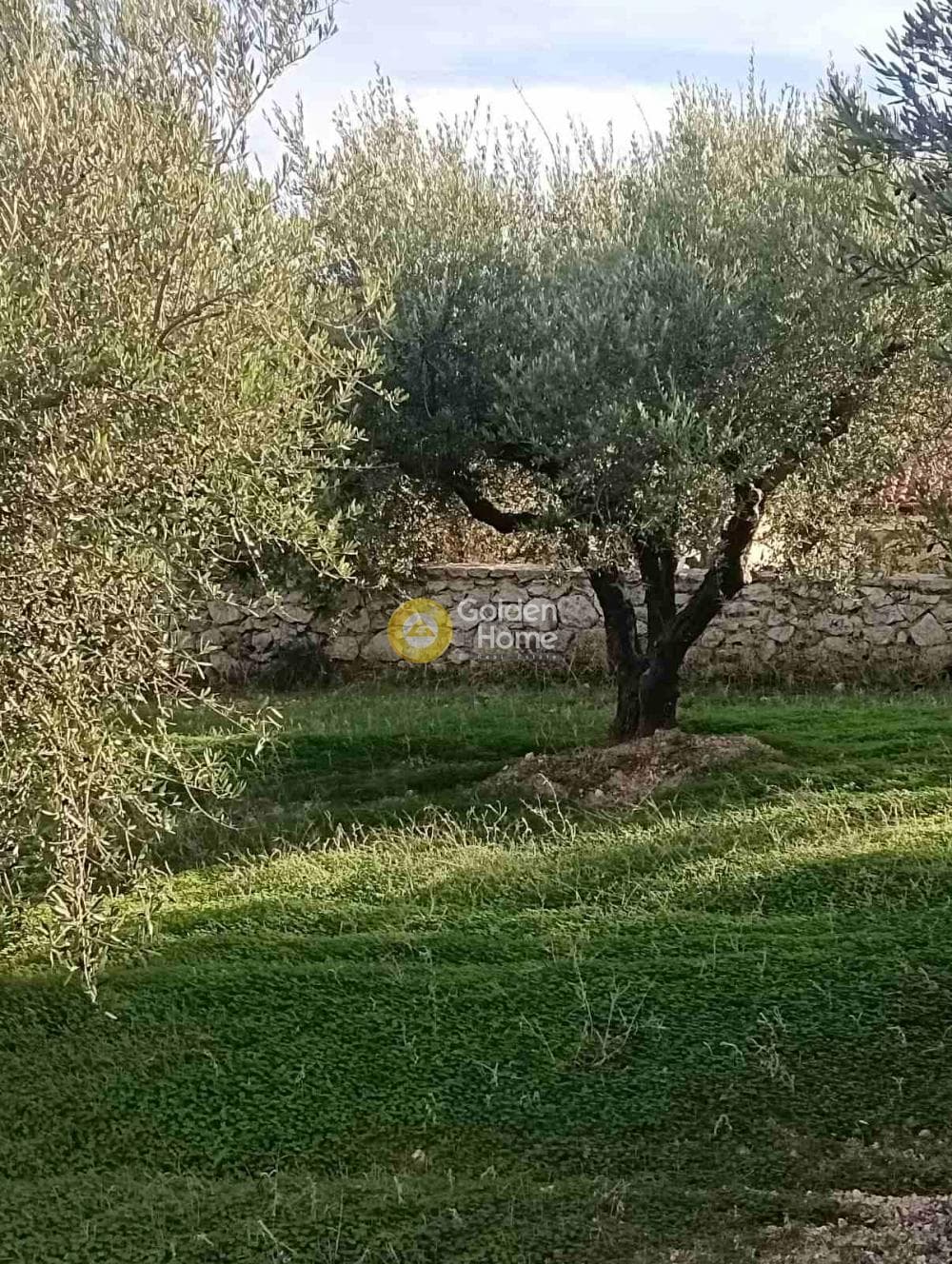 Οικόπεδο στην Κουνάβοι, Αρχάνες — Φωτογραφία 14 από 19