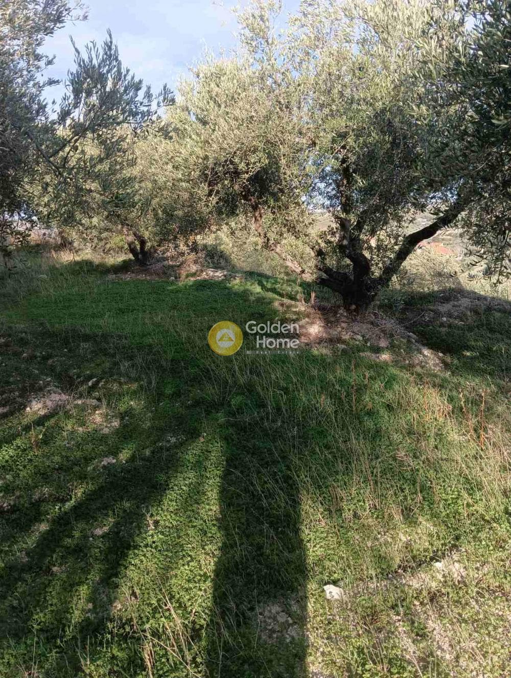 Οικόπεδο στην Κουνάβοι, Αρχάνες — Φωτογραφία 19 από 19