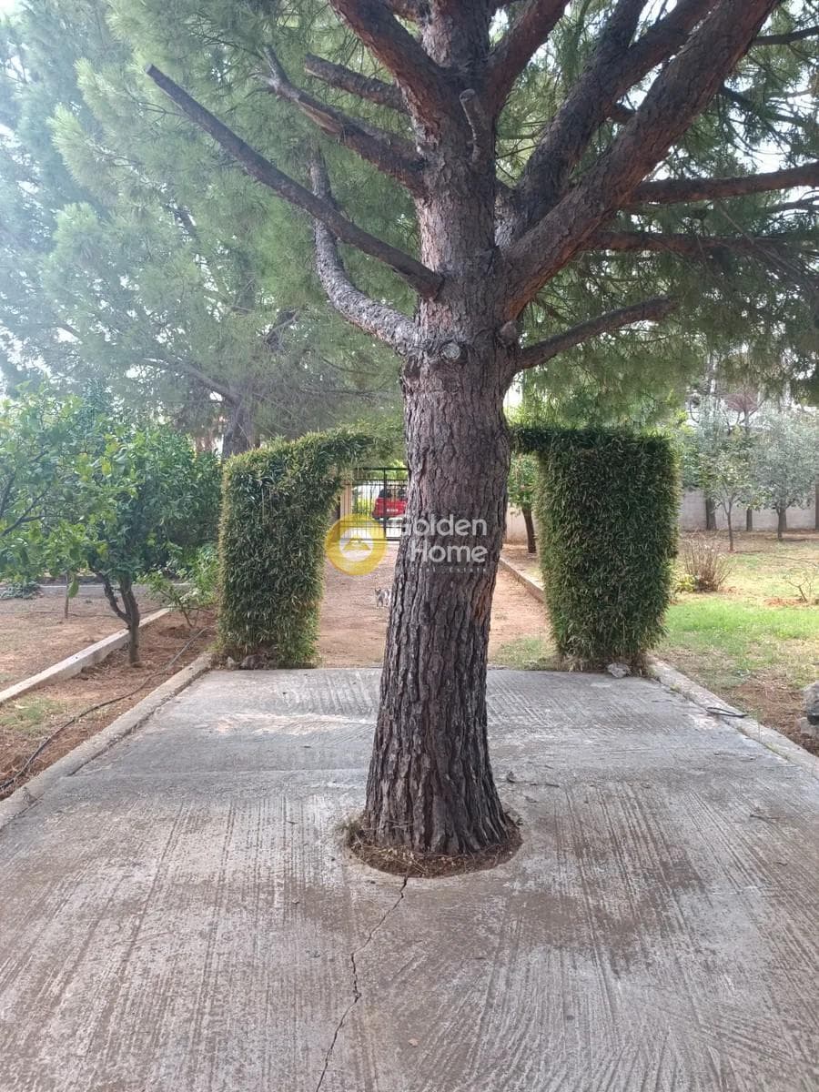 Μονοκατοικία στην Άγιος Σεραφείμ, Αρτέμιδα (Λούτσα) — Φωτογραφία 25 από 27