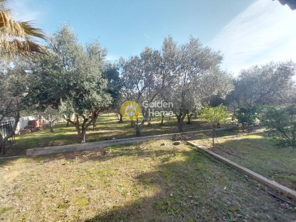 Μονοκατοικία στην Άγιος Σεραφείμ, Αρτέμιδα (Λούτσα) — Φωτογραφία 13 από 27