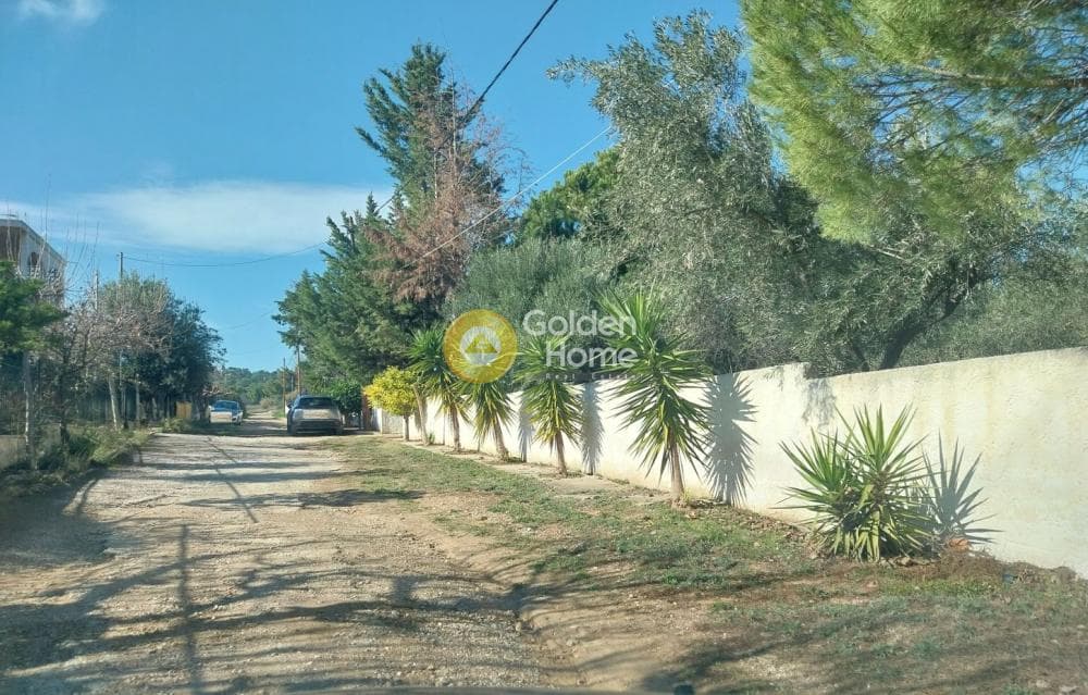 Μονοκατοικία στην Άγιος Σεραφείμ, Αρτέμιδα (Λούτσα) — Φωτογραφία 27 από 27