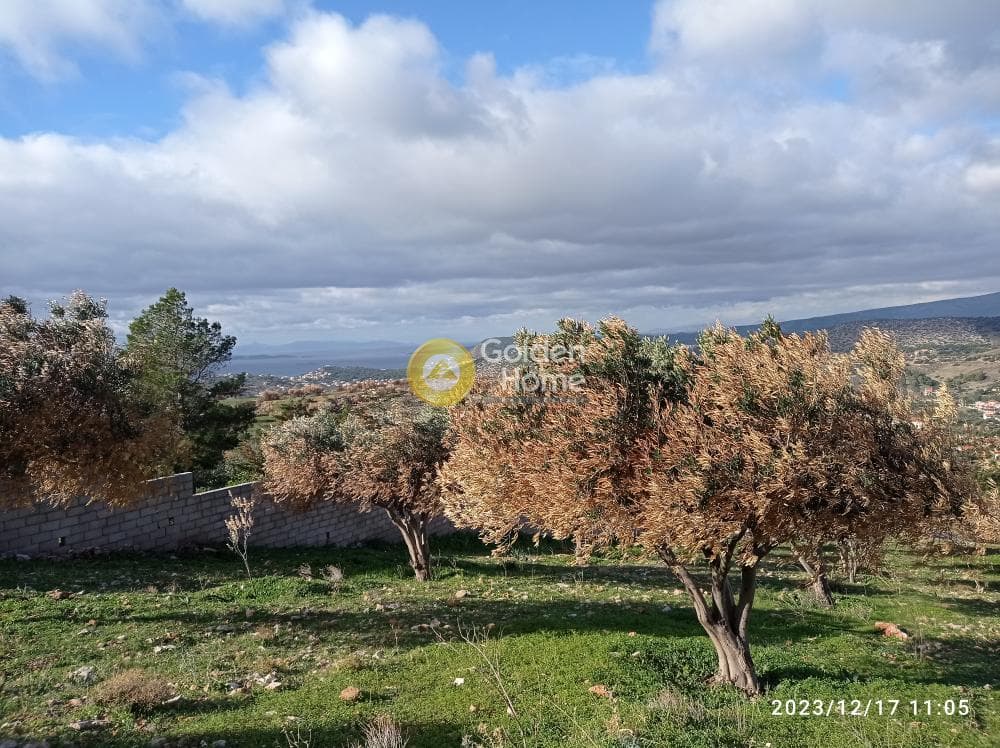Αγροτεμάχιο στην Καλύβια, Καλύβια Θορικού — Φωτογραφία 1 από 5