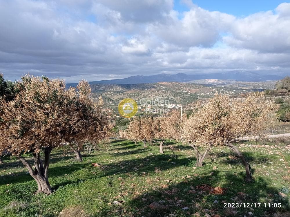 Αγροτεμάχιο στην Καλύβια, Καλύβια Θορικού — Φωτογραφία 2 από 5