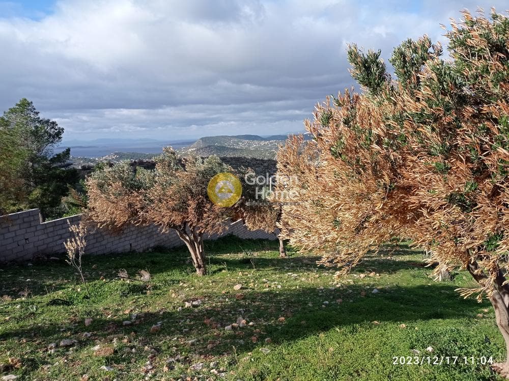 Αγροτεμάχιο στην Καλύβια, Καλύβια Θορικού — Φωτογραφία 3 από 5