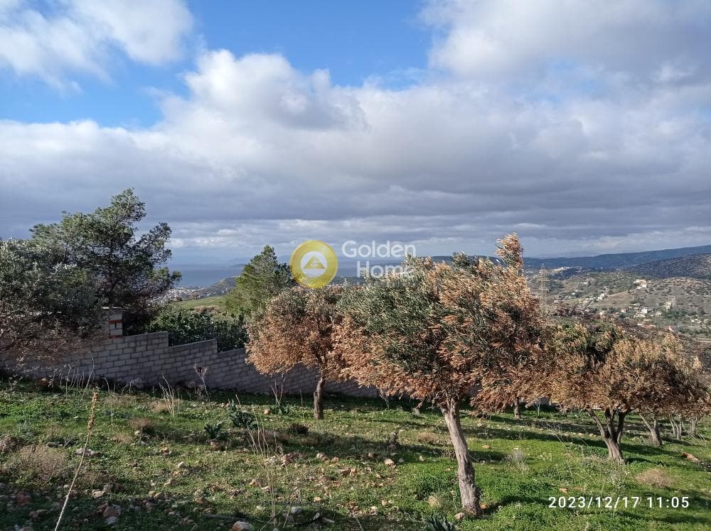 Αγροτεμάχιο στην Καλύβια, Καλύβια Θορικού — Φωτογραφία 5 από 5