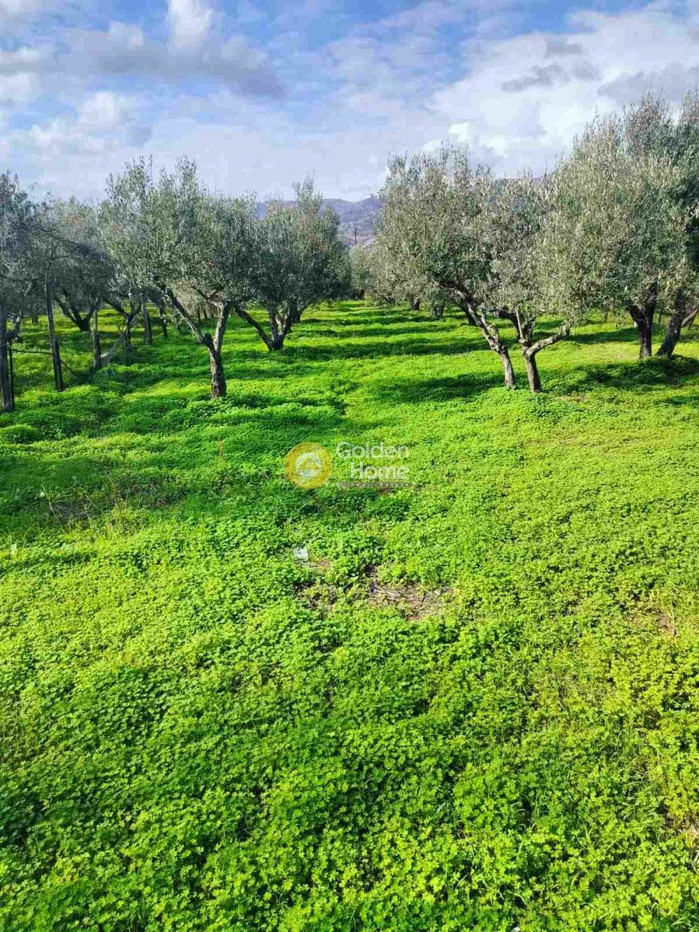 Building Plot in Kollivas, Gazi — Photo 1 of 7