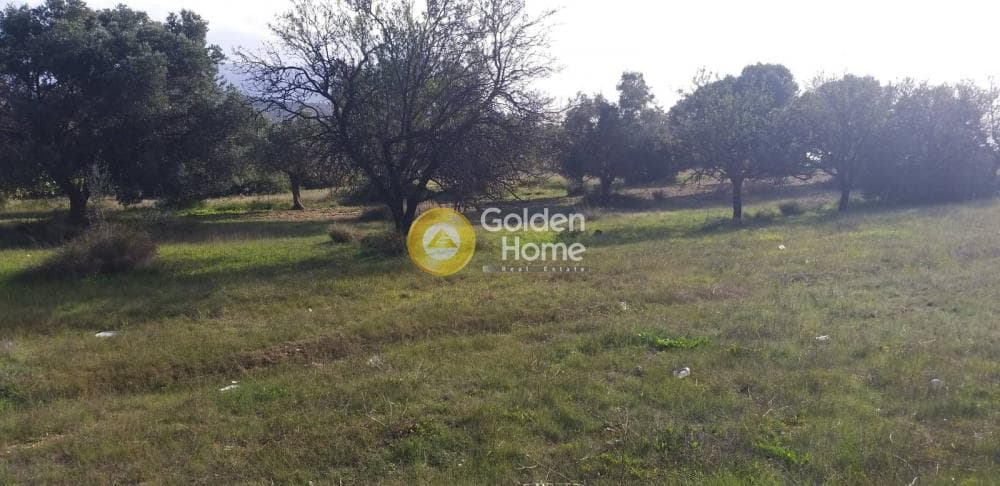 Parcel in Industrial area, Koropi — Photo 1 of 6