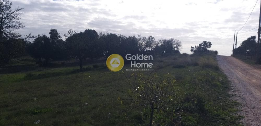 Parcel in Industrial area, Koropi — Photo 3 of 6