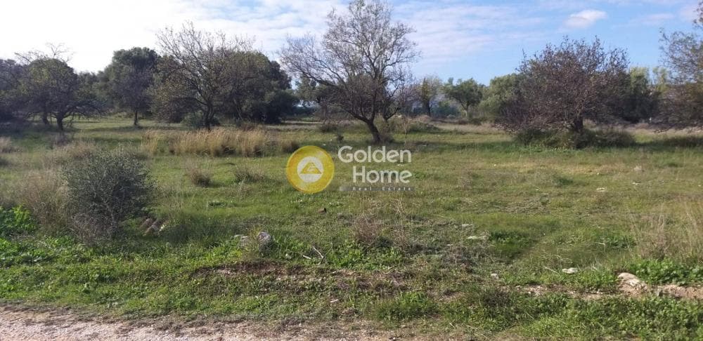 Parcel in Industrial area, Koropi — Photo 6 of 6