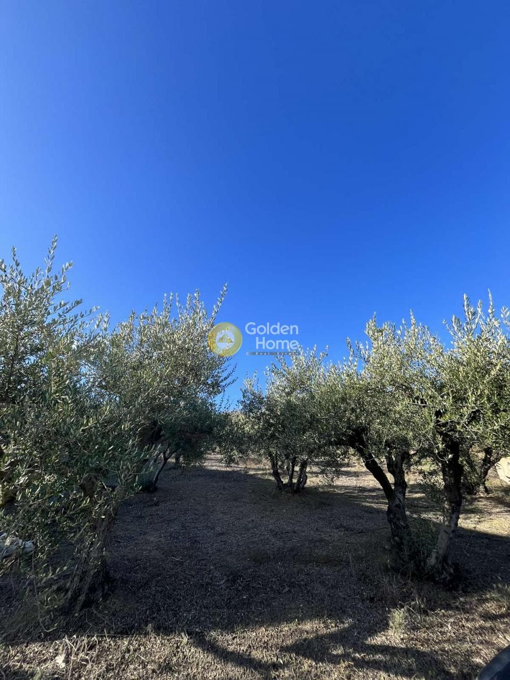 Οικόπεδο στην Σίλαμος, Αρχάνες — Φωτογραφία 1 από 6