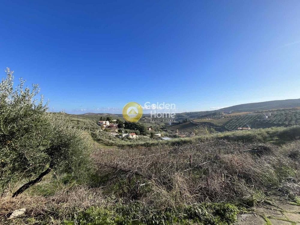 Οικόπεδο στην Σίλαμος, Αρχάνες — Φωτογραφία 2 από 6