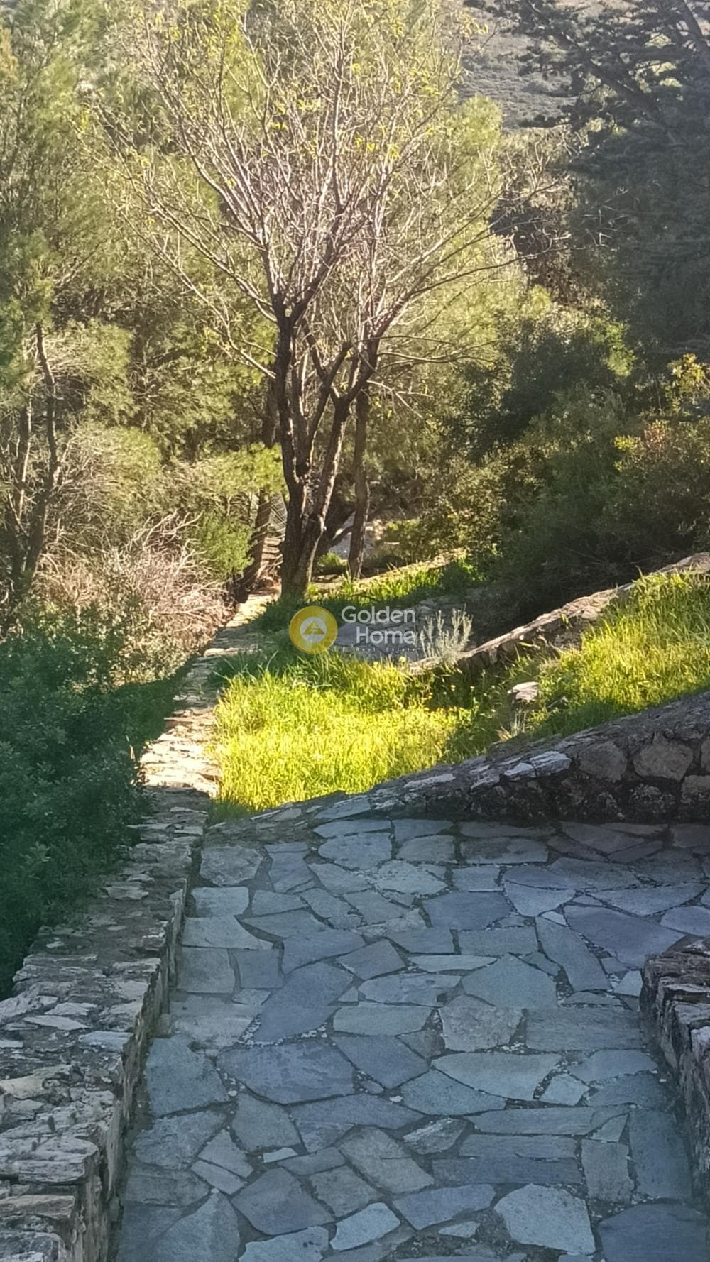 Οικόπεδο στην Κέντρο, Πεντέλη — Φωτογραφία 10 από 18