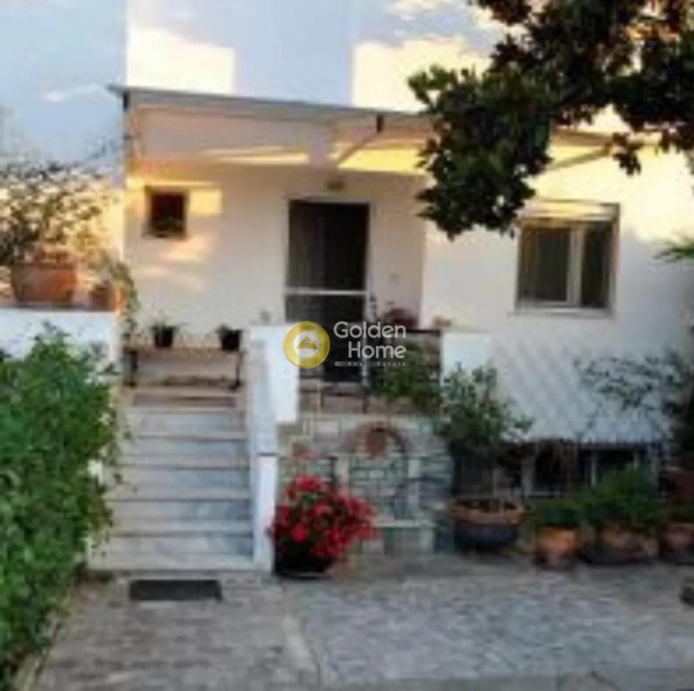 House in Center, Panorama — Photo 11 of 19