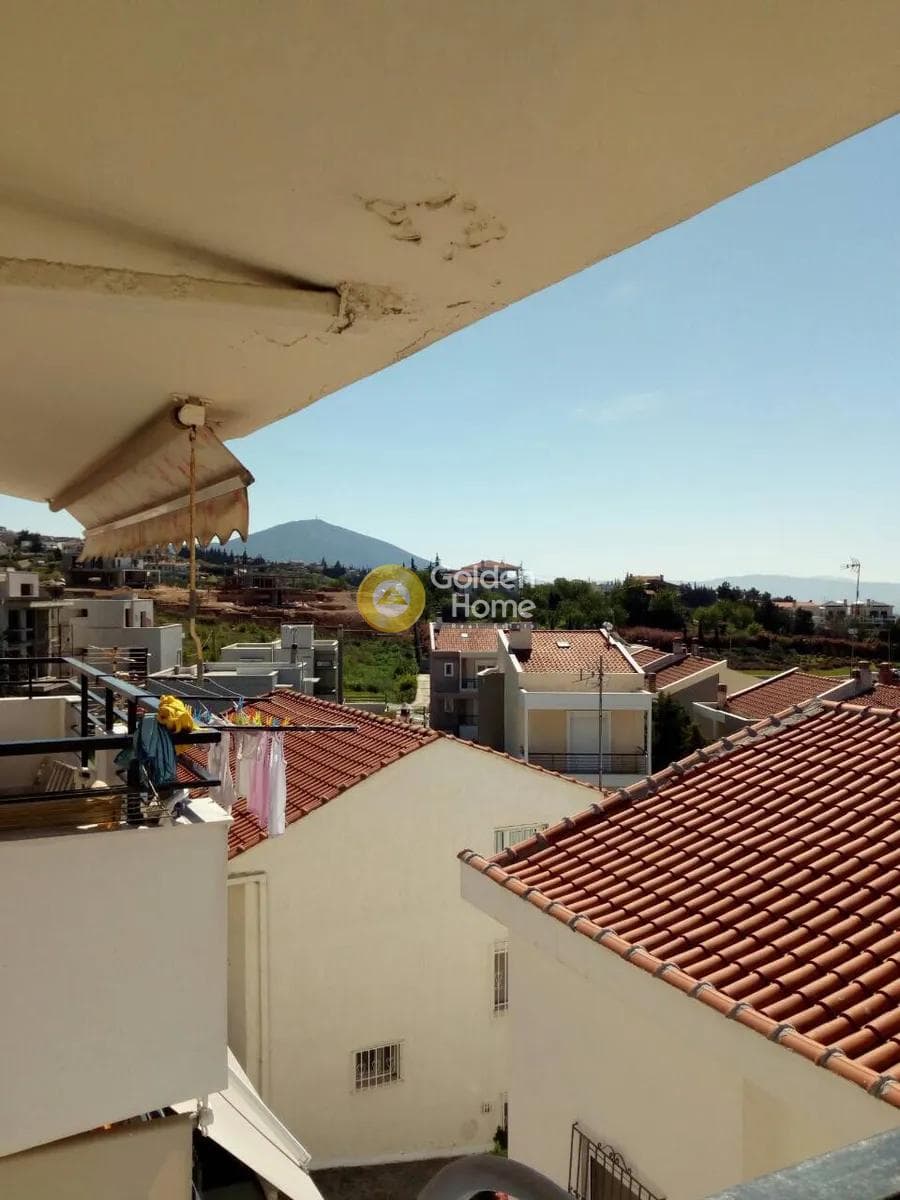 House in Center, Panorama — Photo 1 of 19