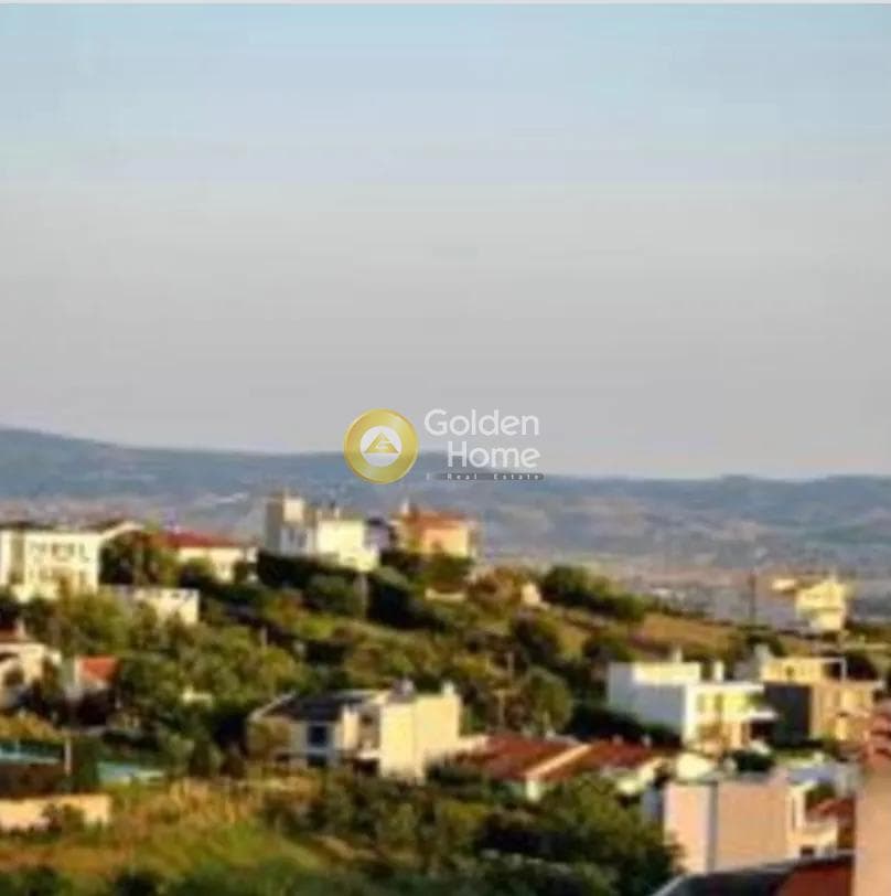 House in Center, Panorama — Photo 4 of 19