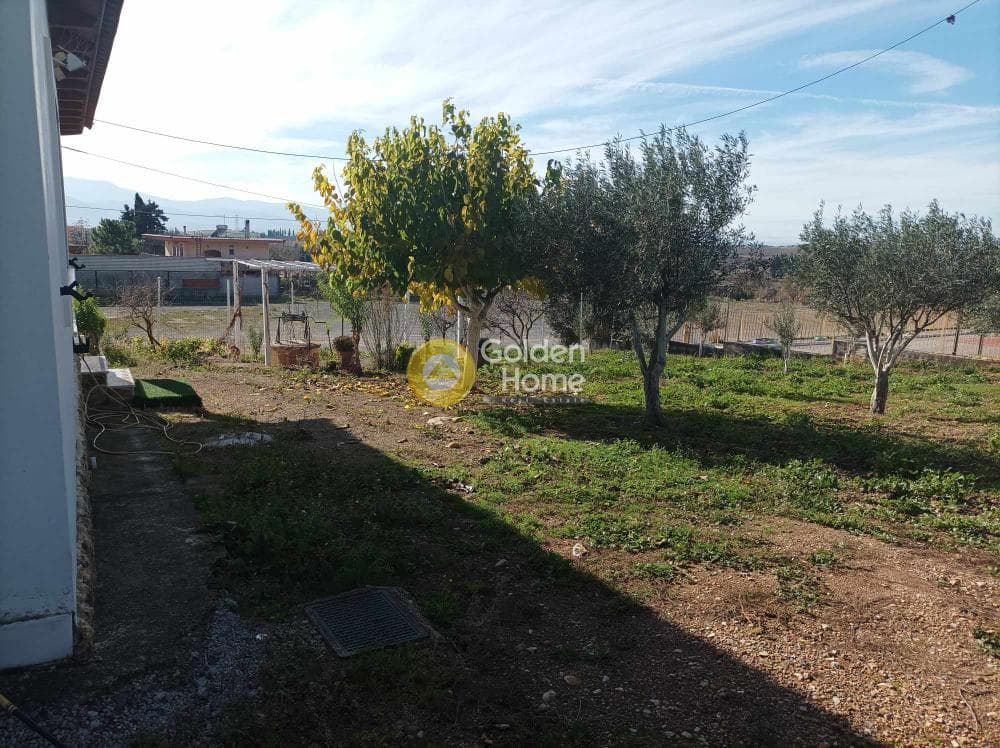 Μονοκατοικία στην Καλλιθέα, Τανάγρα — Φωτογραφία 24 από 31