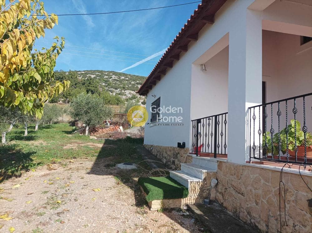 Μονοκατοικία στην Καλλιθέα, Τανάγρα — Φωτογραφία 19 από 31