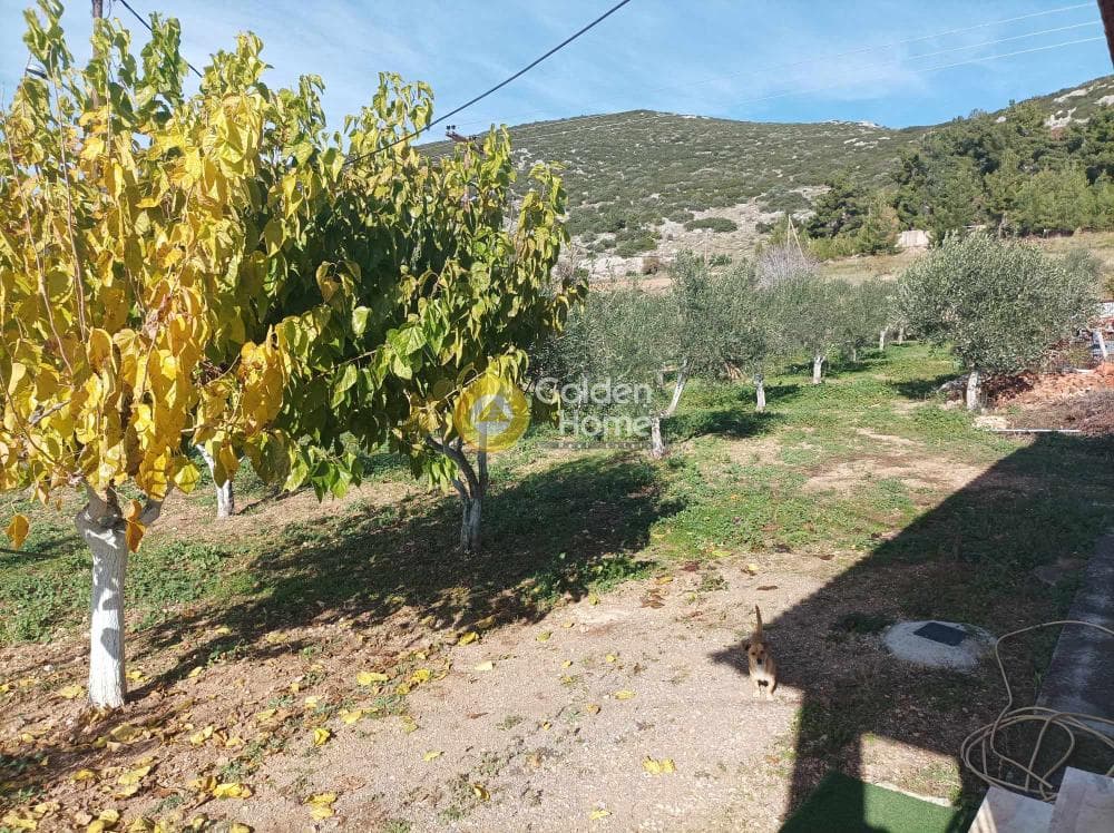 Μονοκατοικία στην Καλλιθέα, Τανάγρα — Φωτογραφία 27 από 31