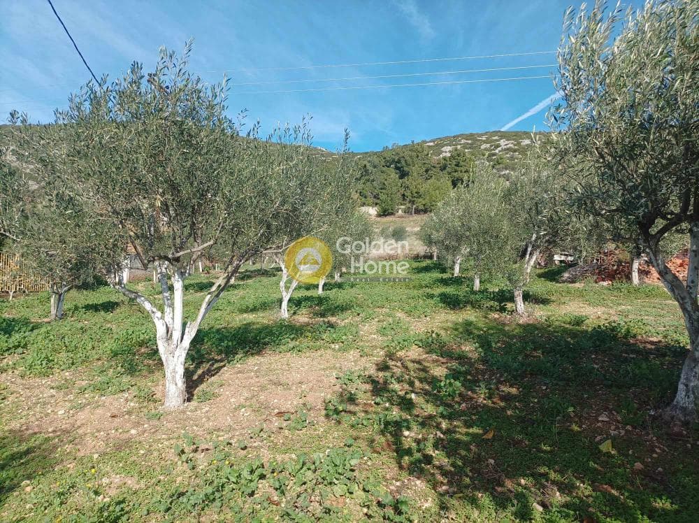 Μονοκατοικία στην Καλλιθέα, Τανάγρα — Φωτογραφία 28 από 31