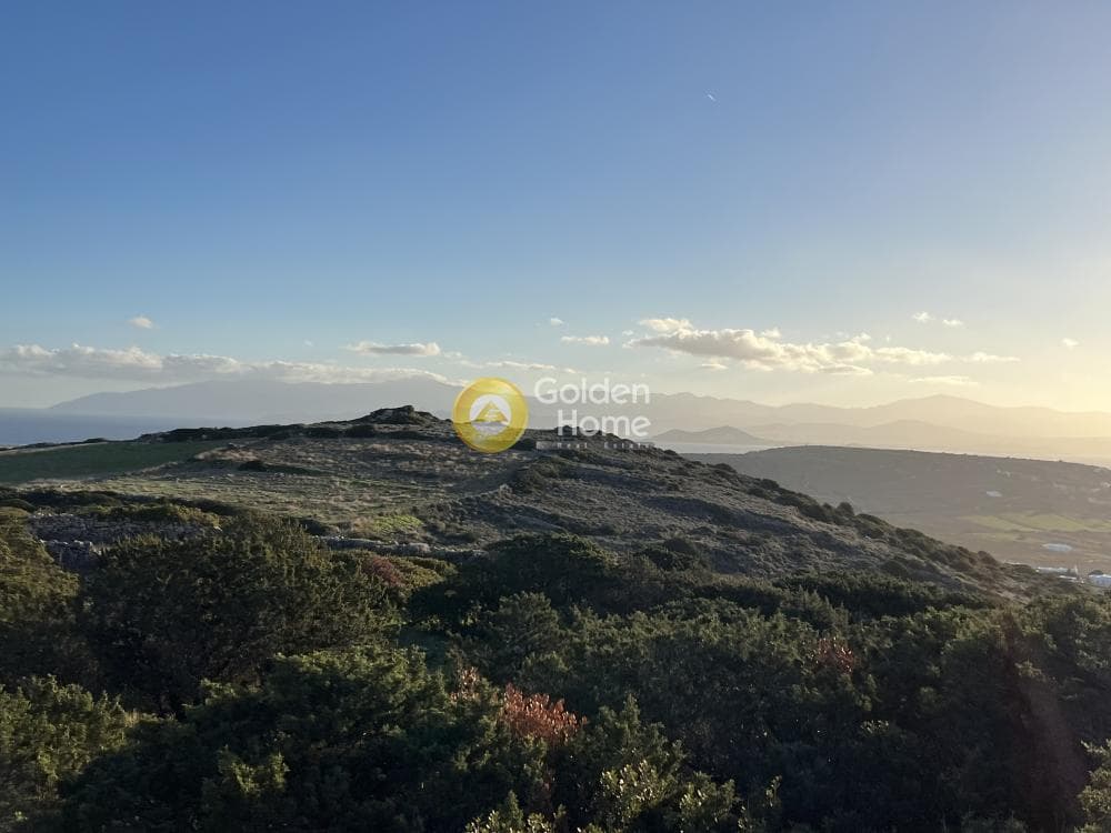 Αγροτεμάχιο στην Μονή Αγίου Αντωνίου, Πάρος — Φωτογραφία 8 από 13