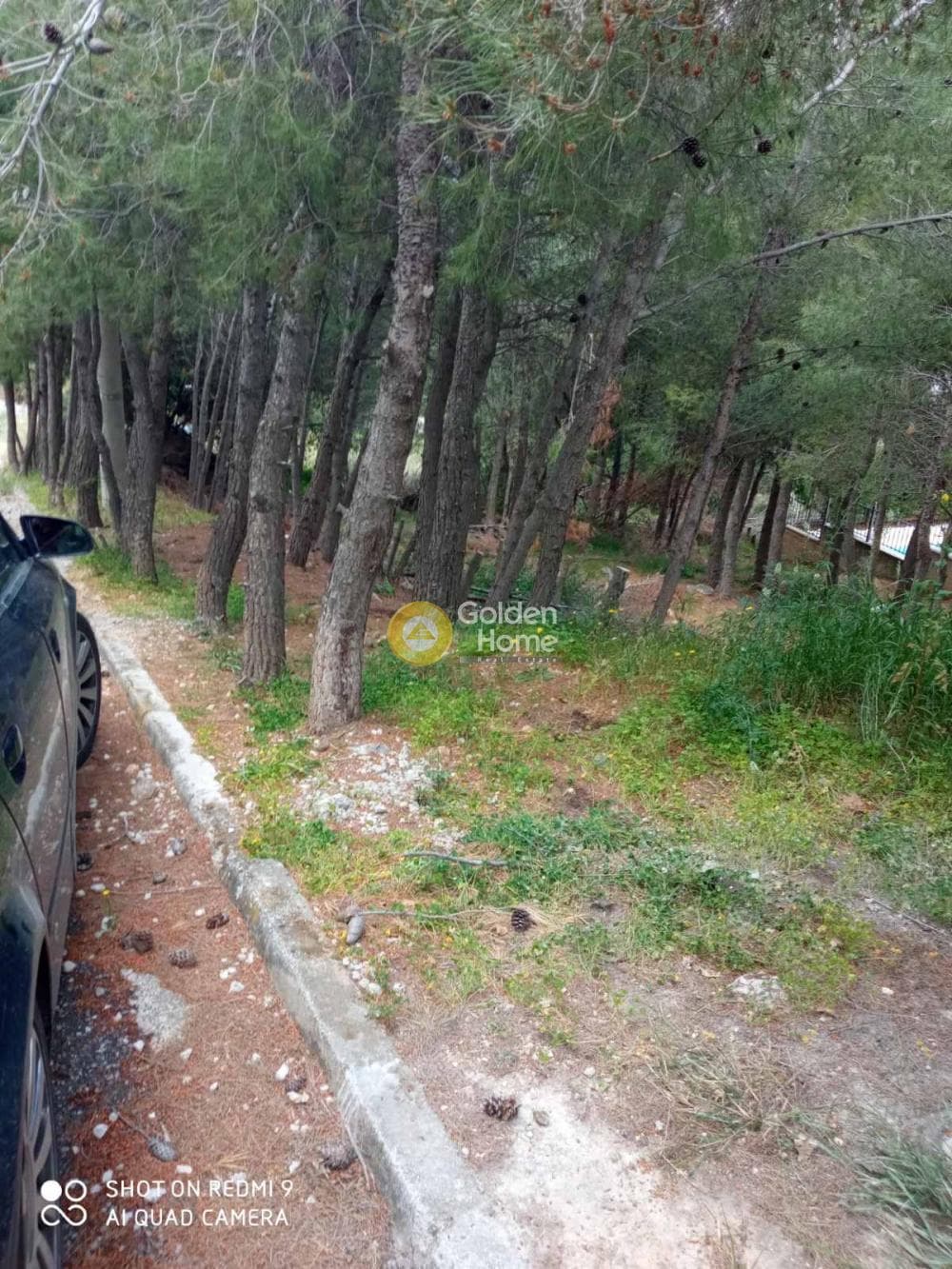 Οικόπεδο στην Δασαμάρι, Πικέρμι — Φωτογραφία 2 από 12