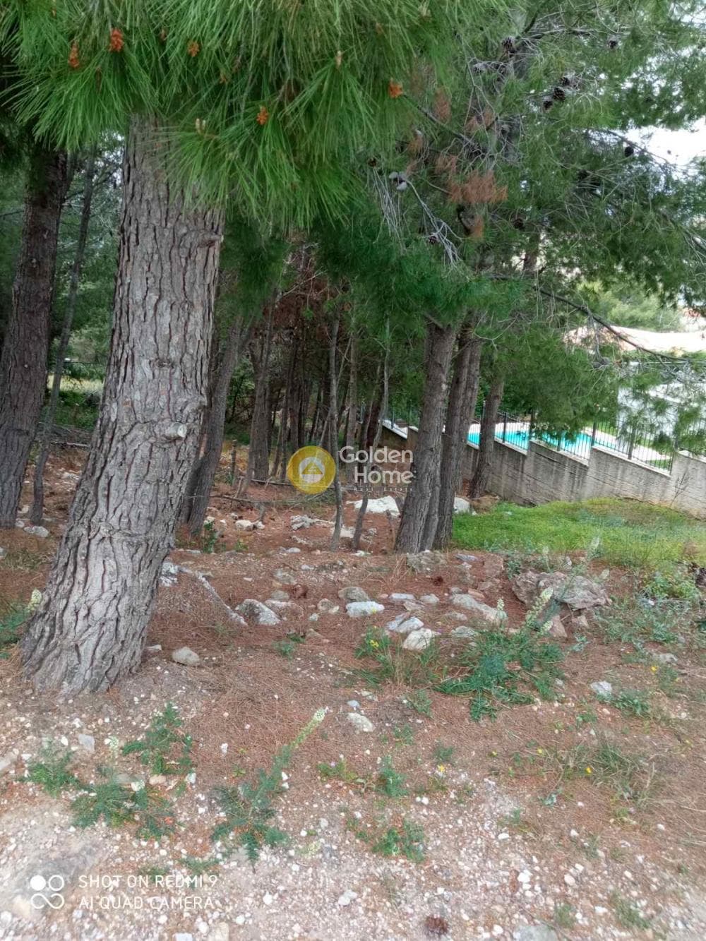 Οικόπεδο στην Δασαμάρι, Πικέρμι — Φωτογραφία 1 από 12