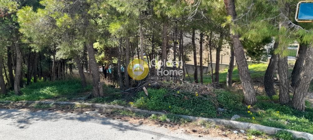 Οικόπεδο στην Δασαμάρι, Πικέρμι — Φωτογραφία 3 από 12