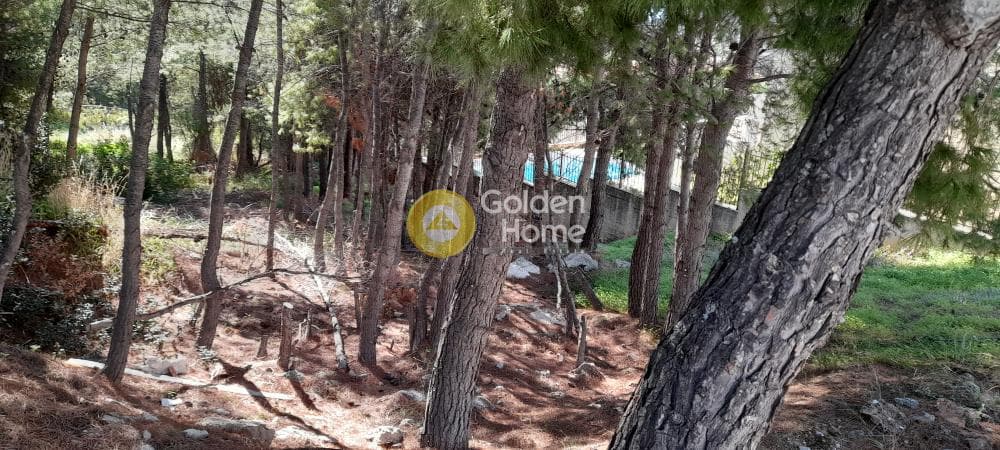 Οικόπεδο στην Δασαμάρι, Πικέρμι — Φωτογραφία 6 από 12