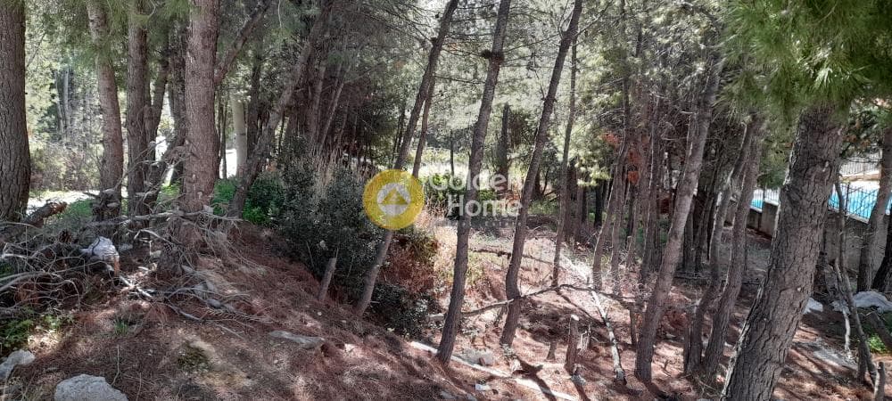 Οικόπεδο στην Δασαμάρι, Πικέρμι — Φωτογραφία 4 από 12