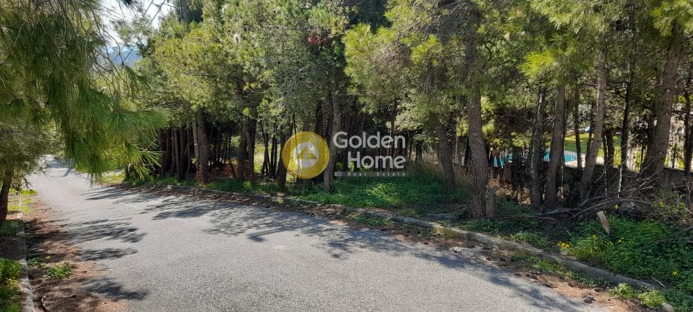 Οικόπεδο στην Δασαμάρι, Πικέρμι — Φωτογραφία 7 από 12