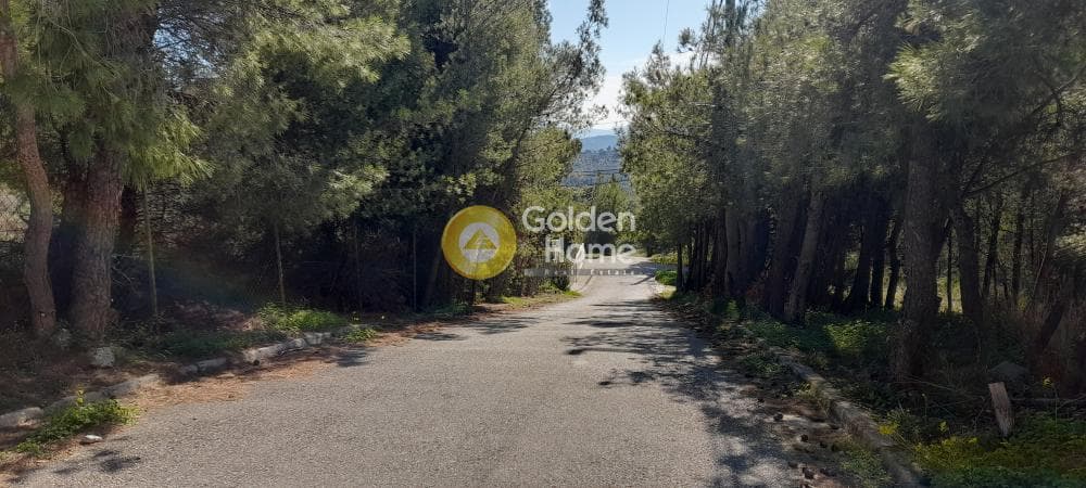 Οικόπεδο στην Δασαμάρι, Πικέρμι — Φωτογραφία 9 από 12