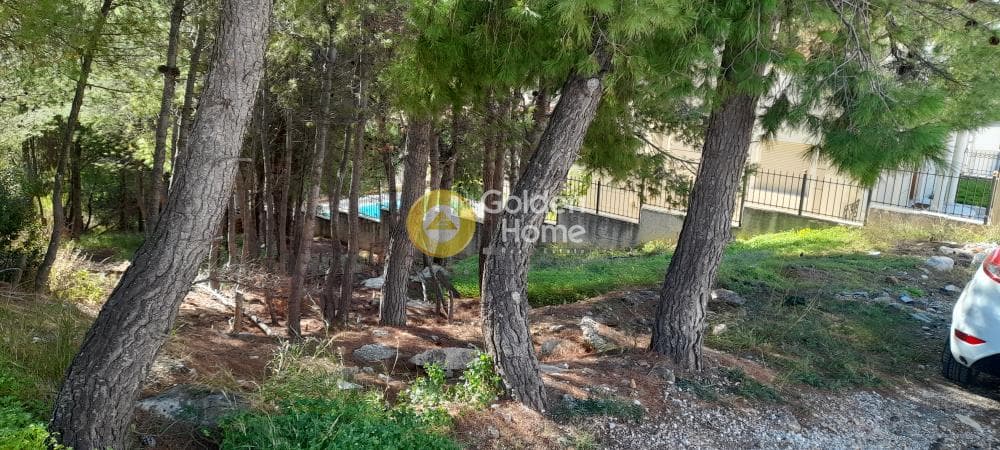 Οικόπεδο στην Δασαμάρι, Πικέρμι — Φωτογραφία 8 από 12