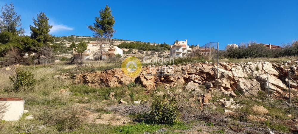 Οικόπεδο στην Δασαμάρι, Πικέρμι — Φωτογραφία 1 από 2