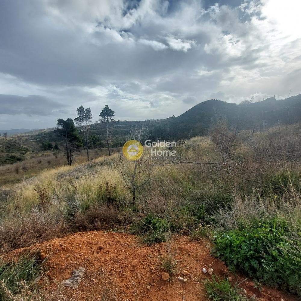 Building Plot in Oikismos Pontion, Agios Stefanos — Photo 4 of 5