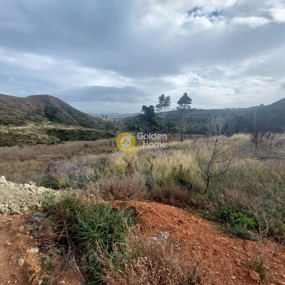 Building Plot in Oikismos Pontion, Agios Stefanos — Photo 3 of 5