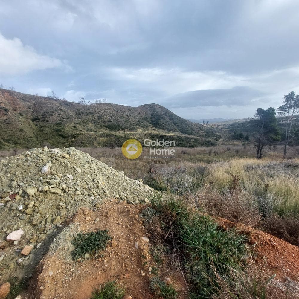 Building Plot in Oikismos Pontion, Agios Stefanos — Photo 2 of 5