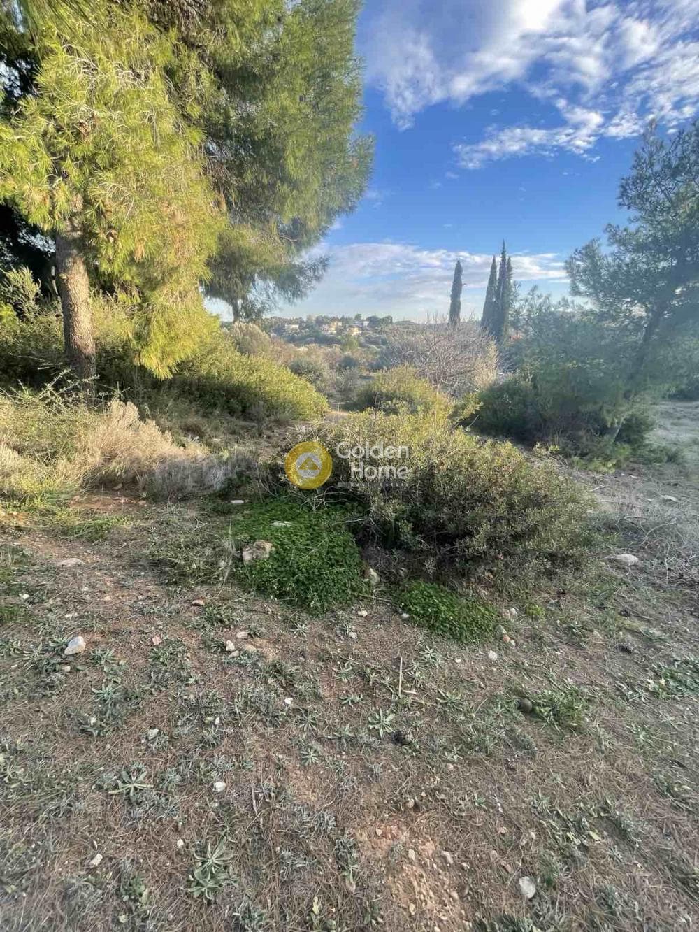 Parcel in Oikismos Vgena, Rafina — Photo 3 of 8