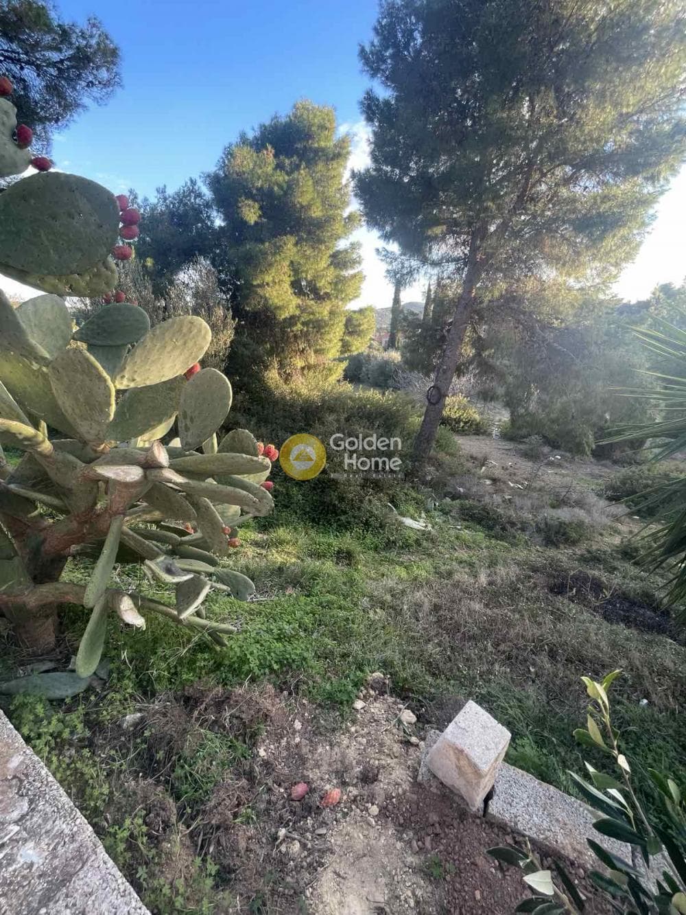 Parcel in Oikismos Vgena, Rafina — Photo 6 of 8